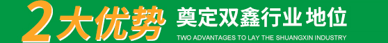 2大优势 奠定双鑫行业领先地位